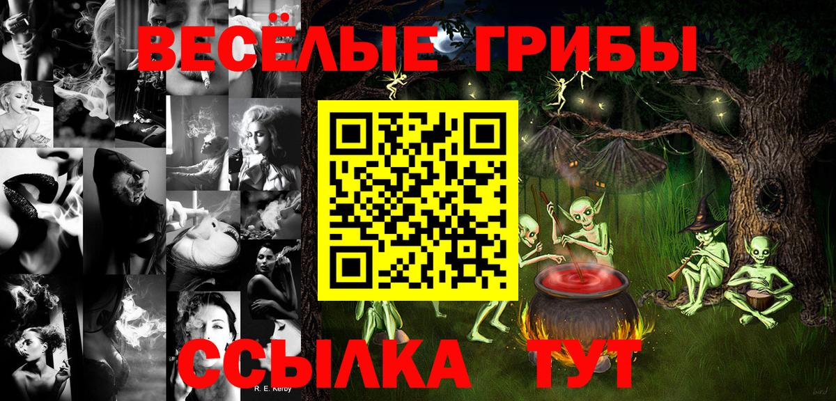Псилоцибиновые грибы Cubensis Сунжа